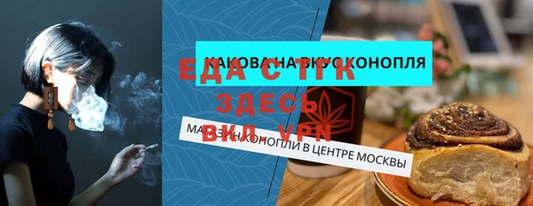индика Бронницы