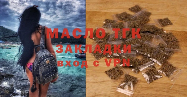 индика Бронницы
