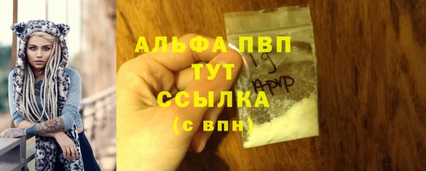 соль ск Богородск