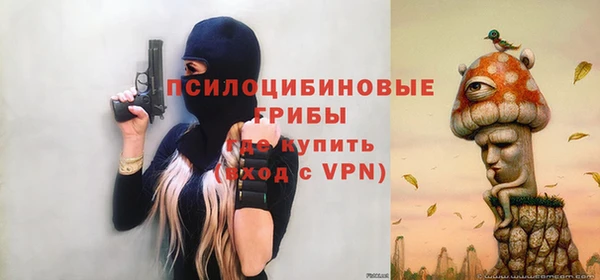 бошки Богородицк