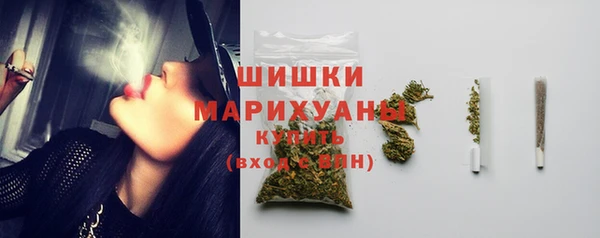 соль ск Богородск