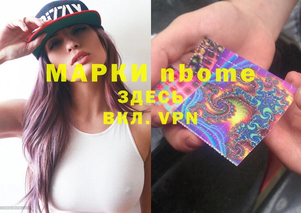 индика Бронницы