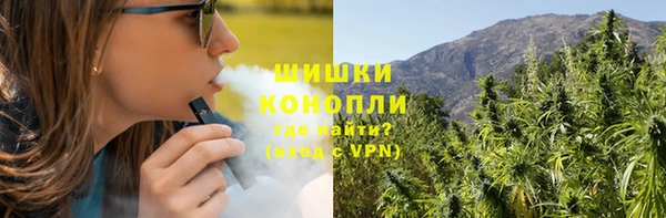 бошки Богородицк