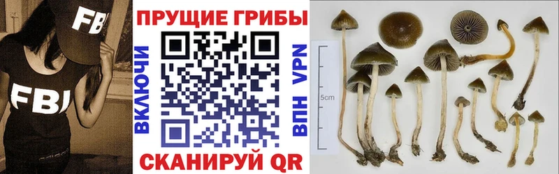гидра зеркало  Елизаветинская  Галлюциногенные грибы Magic Shrooms 
